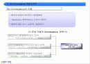 [마케팅]사례분석_인터넷포털사이트 Big3(다음/네이버/네이트)의 마케팅전략 17페이지