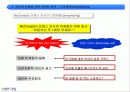 [마케팅]사례분석_인터넷포털사이트 Big3(다음/네이버/네이트)의 마케팅전략 19페이지
