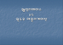 [경영]웹인터페이스 VS 윈도우 에플리케이션 비교 1페이지