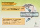 [마케팅]나뚜루(naturr)마케팅분석 29페이지