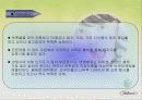 [마케팅]나뚜루(naturr)마케팅분석 30페이지
