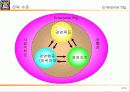[경영전략]경영전략·경영혁신 전략개념의 형성과 전략개념, 전략수준, 전략 프로세스(과정) 12페이지