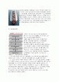 [무역, 경영]무역통상실무가이드( 대만에 수출하기) 18페이지