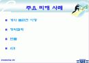 [전자상거래]소비자 보호를 위한 에스크로서비스의 국내현황 및 전망 7페이지