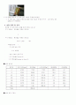 체 분석(sieve analysis) 시험 보고서 2페이지