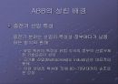 ABB의 매트리스 조직 6페이지