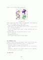 central Dogma(중심설)에 관하여 15페이지