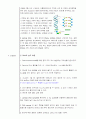 Lambda DNA의 온도에 따른 흡광도의 변화관찰 3페이지