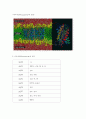 Aquaporins(아쿠아 포린) 단백질 4페이지