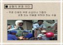 성형수술 - 성형 지상주의 무엇이 문제인가 - 4페이지