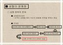 성형수술 - 성형 지상주의 무엇이 문제인가 - 10페이지