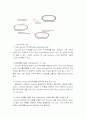 Transformation of competent E. coli(예비 및 결과) 3페이지