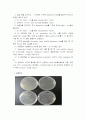 Transformation of competent E. coli(예비 및 결과) 7페이지