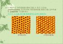 계면중합,중합이란? 15페이지