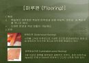 목재의 종류및 특징 11페이지