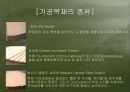 목재의 종류및 특징 13페이지
