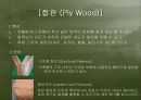 목재의 종류및 특징 15페이지