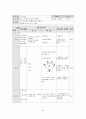 소프트볼 학습지도안 24페이지