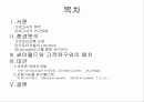 싸이월드의 상황과 앞으로의 대책에 대한 연구 2페이지