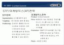 싸이월드의 상황과 앞으로의 대책에 대한 연구 18페이지