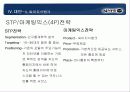 싸이월드의 상황과 앞으로의 대책에 대한 연구 26페이지