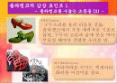 스페인 플라멩고 6페이지