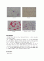 gram staining, acid-fast staining, spore staining 4페이지