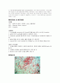 gram staining, acid-fast staining, spore staining 9페이지