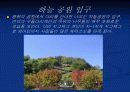 하늘공원답사레포트 5페이지