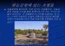 하늘공원답사레포트 7페이지