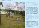 노량진근린공원 답사 레포트 2004년 10월달 5페이지