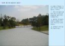 노량진근린공원 답사 레포트 2004년 10월달 8페이지