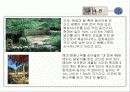 담양소쇄원답사 12페이지