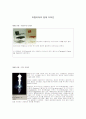 이탈리아 디자인의 역사와 흐름 1페이지