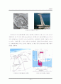 조력과 조력발전(tidal electric power generation) 14페이지