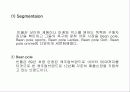 빈폴의 고가마케팅 전략 17페이지