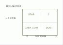 빈폴의 고가마케팅 전략 23페이지