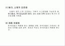 빈폴의 고가마케팅 전략 29페이지