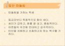 문제행동지도방안 11페이지