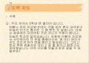 문제행동지도방안 20페이지