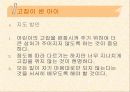 문제행동지도방안 24페이지