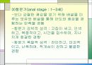 프로이트 정신분석이론 발표자료 20페이지