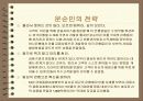 [경영학]기업의 지식경영 사례조사 10페이지