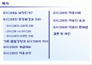 6시그마의 이해 2페이지