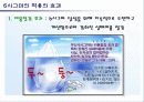6시그마의 이해 21페이지