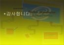 [관광상품개발론]수륙양용차를 통한 시티투어 관광 11페이지