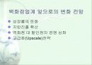 [기업론]IMF 전후 성장기업과 쇠퇴기업 연구-롯데백화점과 태화백화점을 중심으로 11페이지