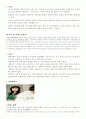 [사회복지와 사회문제]국내외 사례를 통해 알아 본 성폭력 문제 연구 9페이지