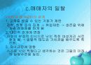 [성매매 특별방지법]일탈로서의 성구매와 성매매의 대한 고찰 19페이지