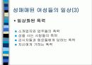 [여성학]성매매 특별법 시행후 현황과 문제점및 대책 13페이지